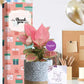 premium plants for employee work anniversary gifts