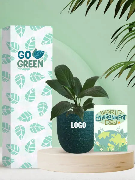 premium potted plants for earth day corporate favors