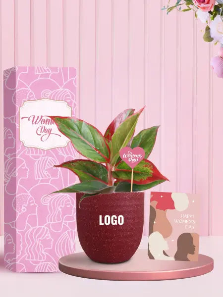 stylish desk plants for women's day celebrations at work