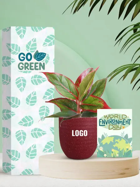 stylish desk plants to mark earth day celebrations