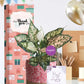 stylish indoor plants for employee anniversary giving