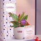 stylish indoor plants for event based employee awards