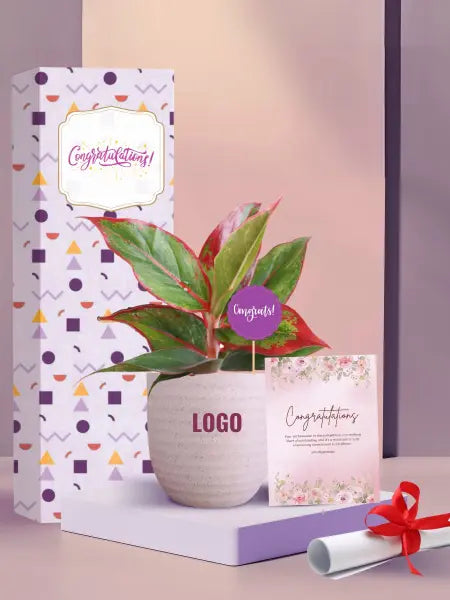 stylish indoor plants for event based employee awards