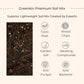 Indoor Plants Combo for Home Decor in Eco Pots (Small)