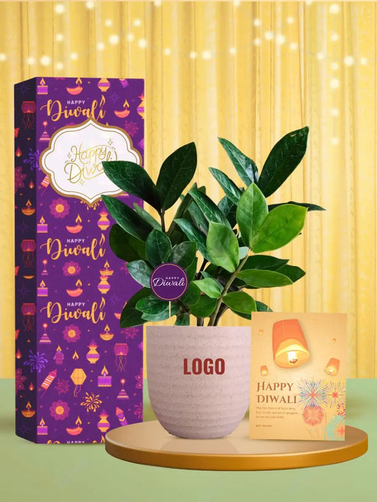 sustainable greenery for unique diwali gifts