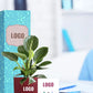 sustainable indoor plants for healthcare rewards