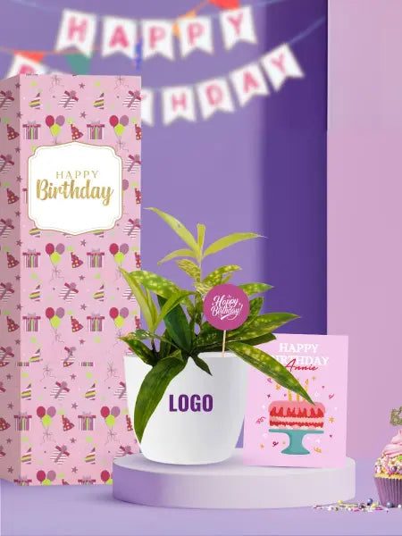 sustainable living plants for staff birthday celebration gifts