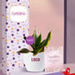 symbolic indoor plants for awards that inspire growth