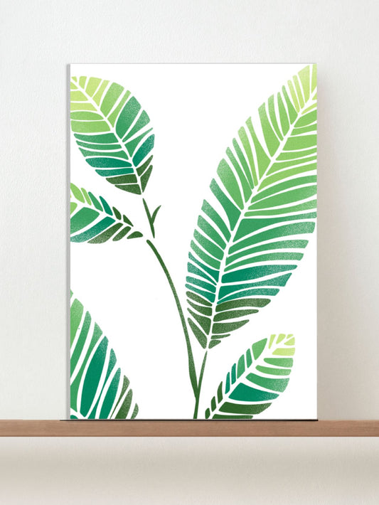 Tropical Bliss - Set of 3