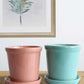 Elementary Pink & Green Ceramic Planters with Trays (Set of 2)