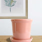 Elementary Salmon Pink Ceramic Planter with Tray
