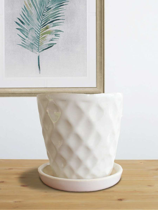 Hawaiian Simply White Ceramic Planter with Tray